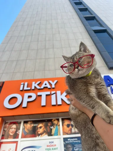 İlkay Optik mağaza